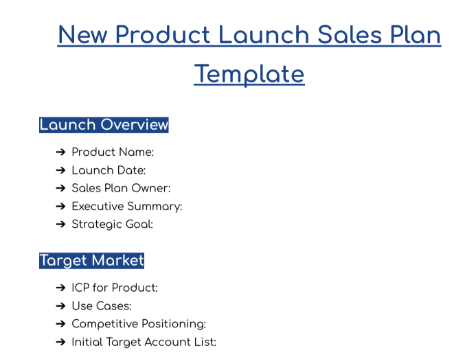 How a New Product Launch Sales Plan Template Looks