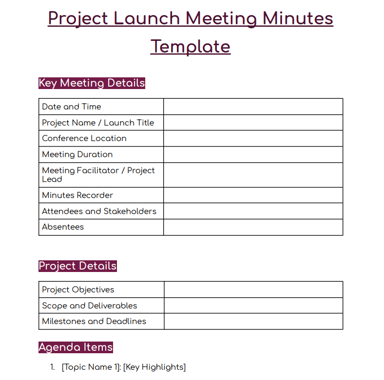 How a Project Launch Meeting Minutes Template Looks
