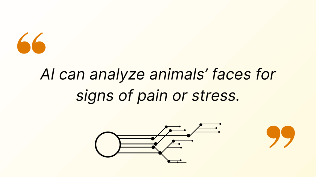 Fact about how AI can Analyze Animals Faces to Detect Stress