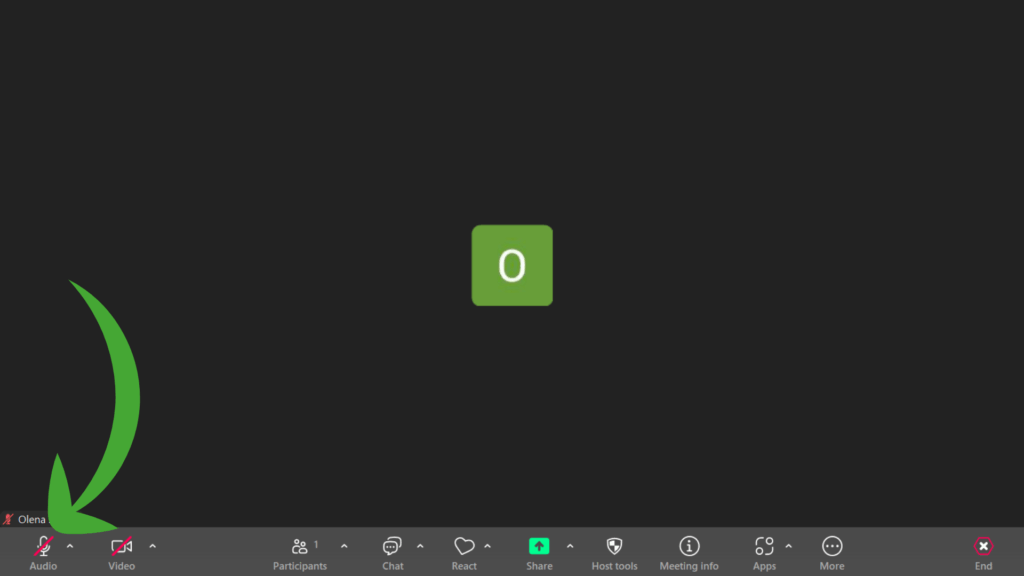 Steps How to Mute Yourself On Zoom in the Windows App