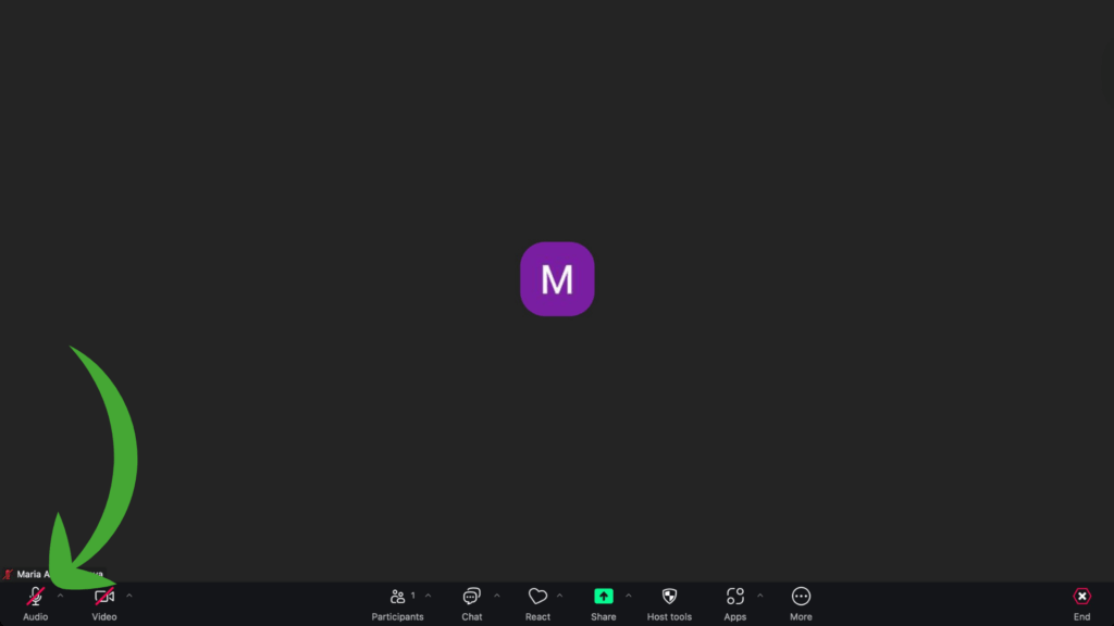 Steps How to Mute Yourself on MacOS in Zoom