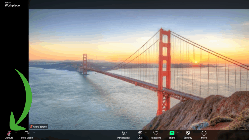 Steps How to Mute Yourself on Zoom in the Web