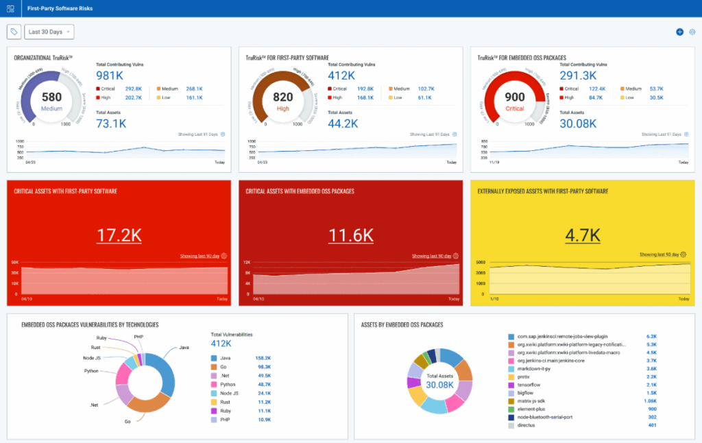 Qualys as an Example of Risk Tools for Project Management
